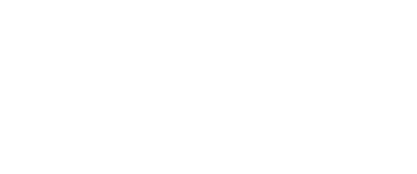 festa